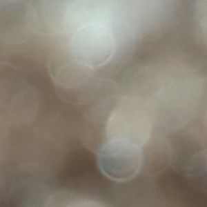 Meet your Posher, Weddle